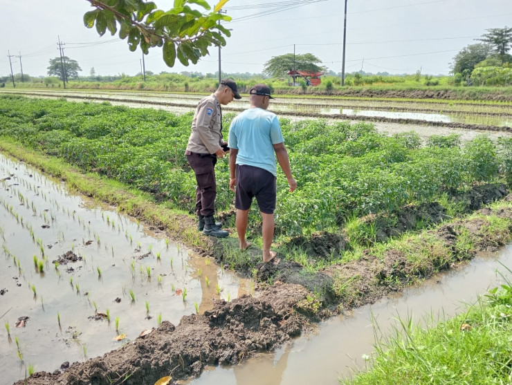 Polsek Tarik Polresta Sidoarjo Masifkan Patroli Ketahanan Pangan dengan Sambang Petani