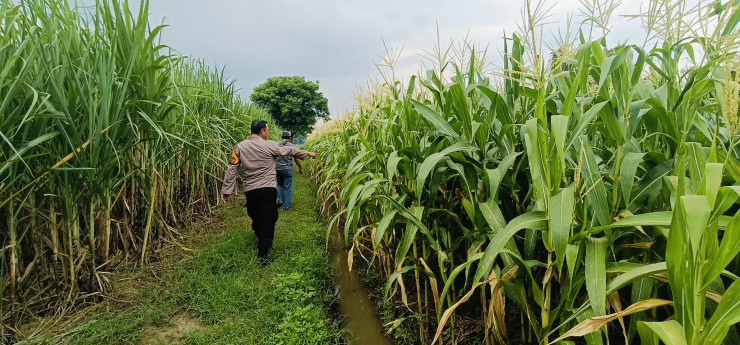 Kapolsek Tarik Masifkan Patroli Sambang Desa Dukung Program Asta Cita Presiden