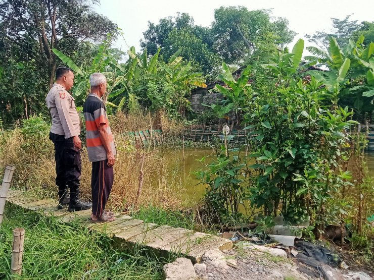 Cegah Krisis Pangan, Bhabinkamtibmas Desa Kalipecabean Cek Ketahanan Pangan Program P2B