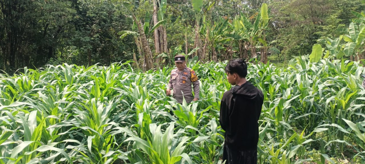 Polsek Tarik Gandeng Ponpes Gencarkan Program Ketahanan Pangan
