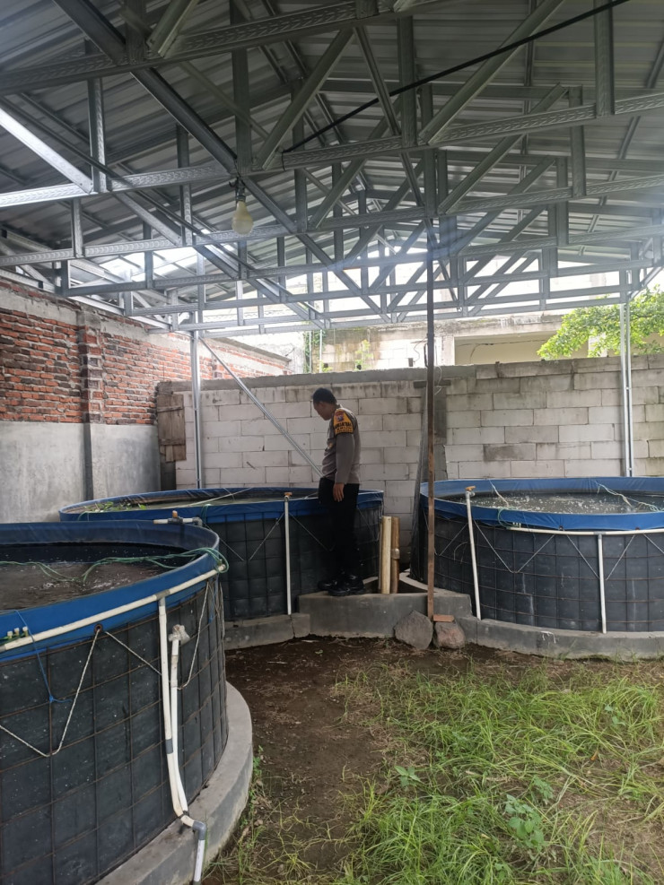 Kapolsek Gedangan Optimalkan Peran Bhabinkamtibmas Kolaborasi Warga Sukseskan Ketahanan Pangan Lewat Budidaya Ikan Lele