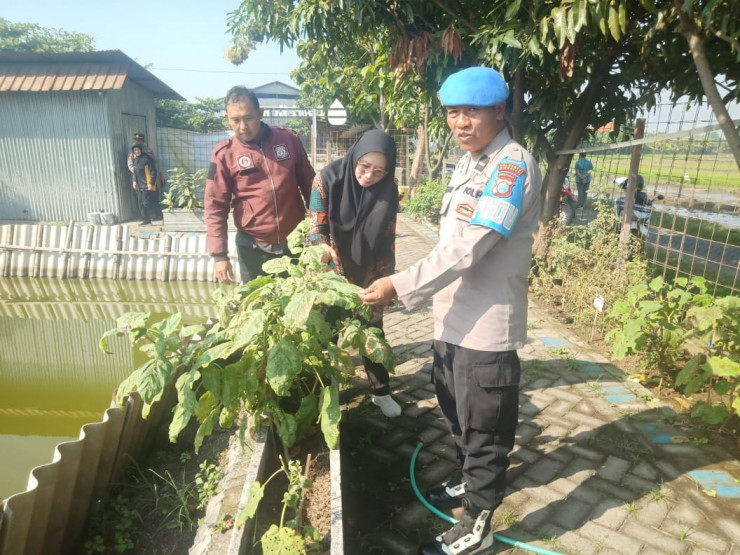 Bhabinkamtibmas Bersama Perangkat Desa Sidorejo Tinjau Program Ketahanan Pangan di Lahan Desa