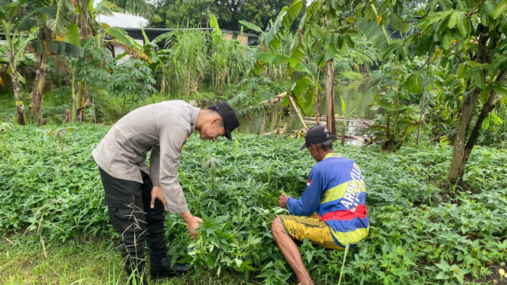 Semangat Warga Desa Janti Dukung Ketahanan Pangan, Manfaatkan Pekarangan Kosong untuk Tanam Kangkung