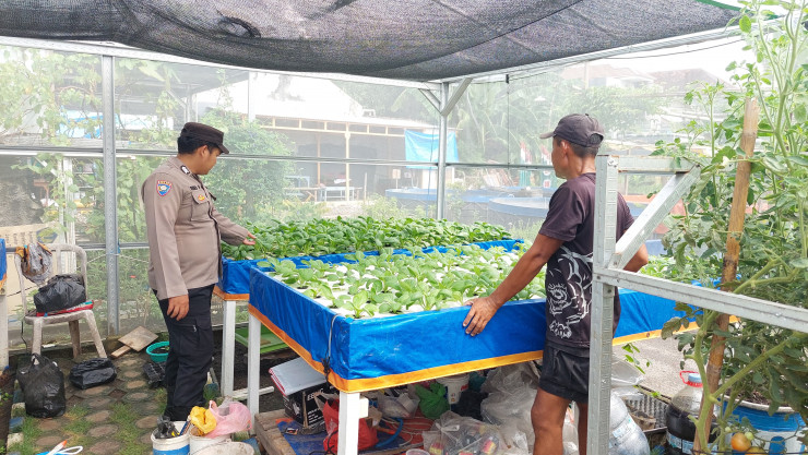Peninjauan Green House Desa Bangah, Dukung Ketahanan Pangan Nasional
