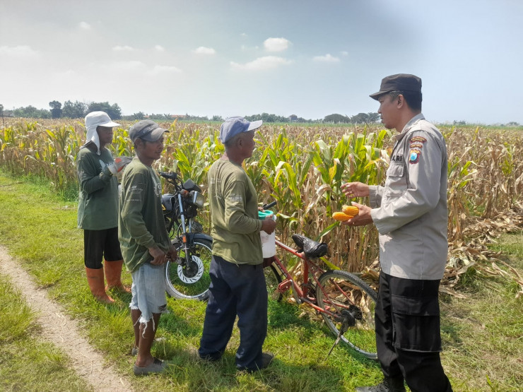 Patroli Polsek Tarik Kawal Program Swasembada Pangan