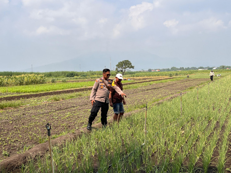 Polsek Krembung Optimalkan Ketahanan Pangan Lewat Pendampingan Budidaya Bawang