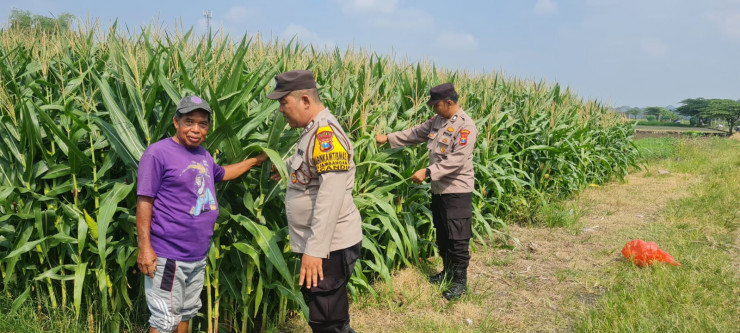 Polisi Sidoarjo Masif Dampingi Petani, Dukung Swasembada Pangan